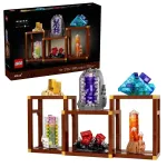 Konstrukcinis rinkinys LEGO Ideas modelis 21362, 880 detalių, rekomenduojamas amžius 18+