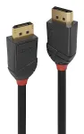 Lindy 36519 DisplayPort kabelis 5 m Juodas