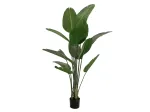 EUROPALMS dirbtinė strelicija, 170 cm 82540523