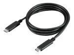 Lenovo USB-C kabelis 24 kontaktų USB-C (M) į 24 kontaktų USB-C (M) 1,0 m, skirtas ThinkPad USB-C Dock Gen 2 (W125691048)