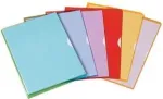 ELBA Fard'Liss 100206697 dokumentų įmautė, A4 (210 x 297 mm), PVC, 0,18 mm, atvira vir&scaron;uje ir de&scaron;inėje, 2 &scaron;oninės skylės pir&scaron;tams, raudona