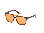 Akiniai nuo saulės WEB EYEWEAR Unisex WE0263-5956J Square Havana Acetate Frame Green Polycarbonate Lens 59/13/145 mm UV400