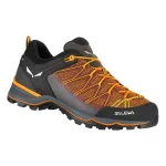 Salewa MTN Trainer Lite vyri&scaron;ki approach batai Ombre Blue/Carrot UK 9.5 (EU 44)