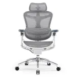 Sihoo DORO C300 Pro ergonominė tinklinė biuro kėdė, balta
