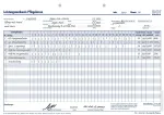 BOI Leistungsnachweis Pflegekasse ohne Leistungskomplexe formos, 50 vnt. (9206-00312)