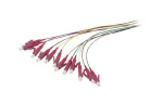 Synergy 21 Fiber Optic Pigtail LC 50/125 &micro;m OM4 2 m 12-Pack Colored