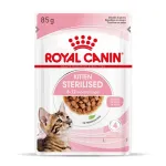 Royal Canin FHN Kitten Sterilised drėgnas maistas katėms padaže, 12 x 85 g