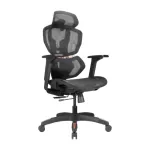 LUMIVIDA PREMIUM ergonomi&scaron;ka biuro kėdė su galvos ir juosmens atrama, 3D reguliuojamomis porankiais &ndash; juoda