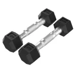Tunturi Platinum Hex Rubber Dumbbell, 1kg, pora