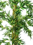 EUROPALMS dirbtinis bambukas, daugiastiebis augalas, 150 cm, 82509235