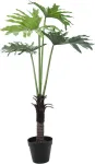 EUROPALMS Split-leaf Philodendron dirbtinis augalas, 120 cm 82600222