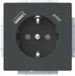 Busch-Jaeger SCHUKO ki&scaron;tukinis lizdas su USB-A+C 20 EUCB2USBAC-885 (2CKA002011A6312)