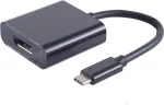 Vaizdo kabelio adapteris ShiverPeaks S/CONN 14-05002 USB-C į DisplayPort 0,2 m