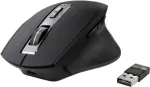 Renkforce RF-5150984 Black stalinė pelė