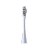 OCLEAN Professional Clean Brush Head P1C9 Sidabrinis 2vnt