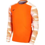 Nike Dry Park IV JSY LS GK Junior vartininko džemperis oranžinis CJ6072 819 L