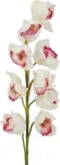 EUROPALMS Cymbidium &scaron;akelė, dirbtinė, balta-rožinė, 90cm 82530312
