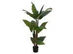 EUROPALMS Alocasia dirbtinis augalas, 140 cm, žalias, juodas vazonas 82508464