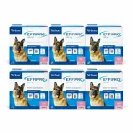 VIRBAC Effipro pur&scaron;kiamas tirpalas &scaron;unims ir katėms 100 ml