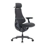 LiberNovo Omni Pro ergonomi&scaron;ka kėdė 45 cm grafitas