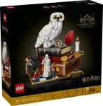 LEGO 76466 Harry Potter I&scaron;minties akmens &ndash; Kolekcinis leidimas (76466)