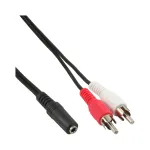 Garso kabelis 2x RCA vyri&scaron;kas / 3,5 mm stereo moteri&scaron;kas 5 m InLine 89940E