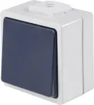 AS SCHWABE 62452 pavir&scaron;inis mygtukinis jungiklis, IP54, pilkas, 250V/10A, 1NO