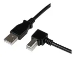 StarTech.com 3 m USB 2.0 A į stačiu kampu B laidas - vyras/vyras