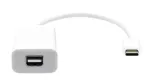 USB-C į Mini DisplayPort kabelis ProXtend USBC-MINIDP-0002W, 20 cm, baltas