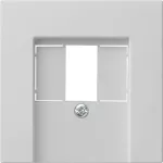 Gira System 55 dangtelis TAE ir USB, pilkas 0276015