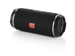 BLOW BT460 Belaidis stereo garsiakalbis, juodas / sidabrinis, 10 W