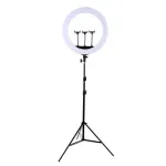 LED žiedinis ap&scaron;vietimas 45 cm su trikoju stovu iki 2,1 m