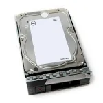 DELL 161-BCJX vidinis kietasis diskas 12 TB 7200 RPM 3.5 colio NL-SAS
