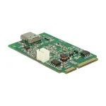 Vidinė USB 3.2 Gen 1 adapterio kortelė DeLOCK 95259