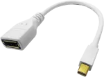 ROLINE DisplayPort adapteris Mini DisplayPort (ki&scaron;tukas) į DisplayPort (lizdas) juodas 12.03.3163