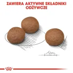 ROYAL CANIN CCN Medium Digestive Care - sausas &scaron;unų ėdalas - 3 kg