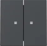 Gira System 55 Dvigubas jungiklio dangtelis su kontroliniu langeliu, antracito matinis 363128