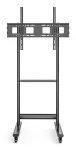 Techly ICA-TR74 TV laikiklis/stovas 2.29 m (90 colių) Juoda