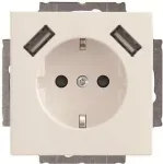Busch-Jaeger SCHUKO-2x USB ki&scaron;tukinis lizdas 20 EUCB2USB-84 (2CKA002011A6273)