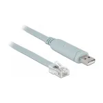 Serijinis kabelis DeLOCK 63920 USB 2.0 Type-A RJ45 pilkas 0,5 m
