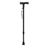 Weinberger Walking and Hiking Stick su LED &scaron;viesa ir panikos aliarmu