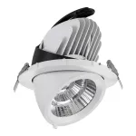 SYNERGY21 LED Įleidžiamas &Scaron;viestuvas 40W Baltas, Sukamas, &Scaron;iltai Balta