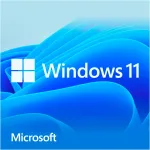 Windows 11 Home, operacinė sistema 64 bit, voki&scaron;ka, USB atmintukas