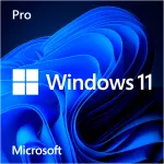 Windows 11 Pro operacinė sistema 64 bitų, voki&scaron;ka, USB atmintinė