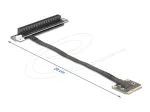 Delock 81294 adapteris Mini PCIe ki&scaron;tukas į PCIe 3.0 x16 lizdą, 90&deg; kampu, su kabeliu