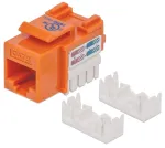 Intellinet Keystone Jack, Cat6, UTP, Punch-down, Oranžinė