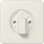 JUNG CD 1541 - Dramblio kaulo spalva - 1101-4 - 1101-20 - 11015 - 11120-20 - 1234,10 - 1234,20 - IP44