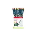 STABILO EASYgraph HB grafitinis pie&scaron;tukas, mėlynas, 36 vienetų kartono dėklas F44292