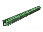 Patch panel DeLOCK 43364 SC 1U 19 inch žalias