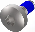 SCHROFF LIKOSCHR.TORX M4X10 (100 vnt.) (24566103)